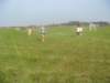 sztafetywzielonkach0410201116_small.jpg
