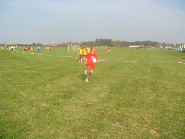 sztafetywzielonkach0410201130.jpg