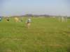 sztafetywzielonkach041020117_small.jpg