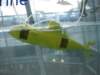iiacentrumkopernika2012109_small.jpg