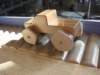 iiacentrumkopernika2012116_small.jpg