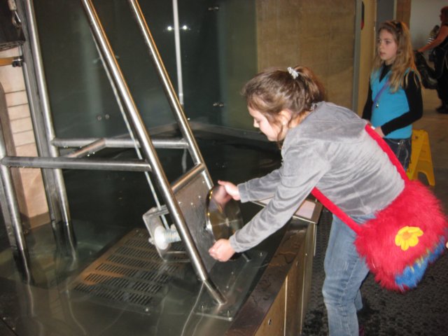 iiacentrumkopernika201215.jpg