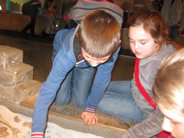 iiacentrumkopernika201223.jpg