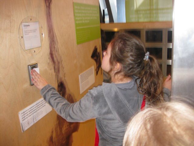 iiacentrumkopernika201273.jpg