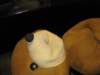 iiacentrumkopernika201276_small.jpg
