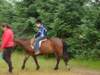 pepeland201211_small.jpg