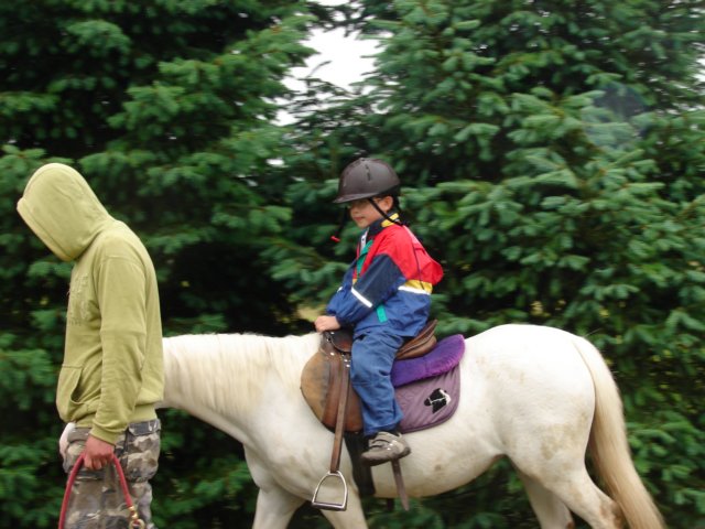 pepeland201212.jpg