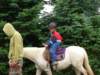 pepeland201212_small.jpg