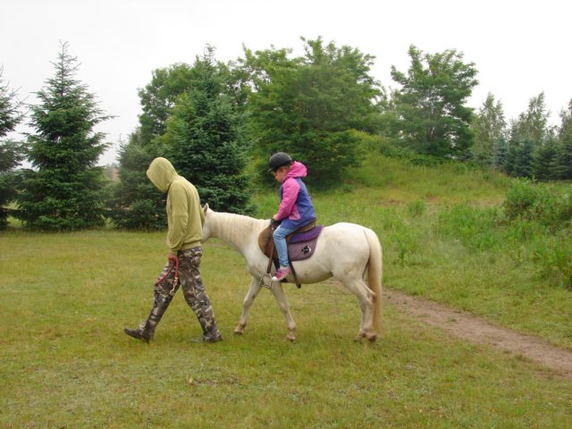 pepeland201214.jpg