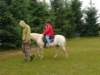pepeland201216_small.jpg