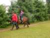 pepeland201217_small.jpg