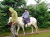 pepeland201218_small.jpg