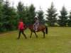 pepeland201219_small.jpg