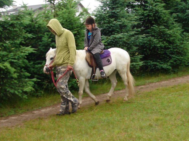 pepeland201220.jpg