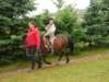 pepeland201221_small.jpg