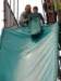 pepeland201234_small.jpg