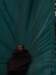 pepeland201237_small.jpg
