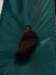 pepeland201238_small.jpg