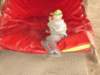 pepeland20125_small.jpg
