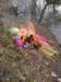 pierwszydziewiosnykl1d201212_small.jpg