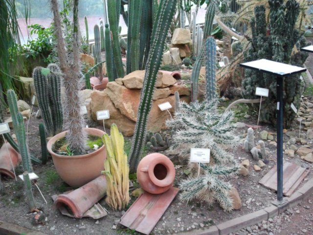 ogrdbotanicznywpowsinie12092012.jpg