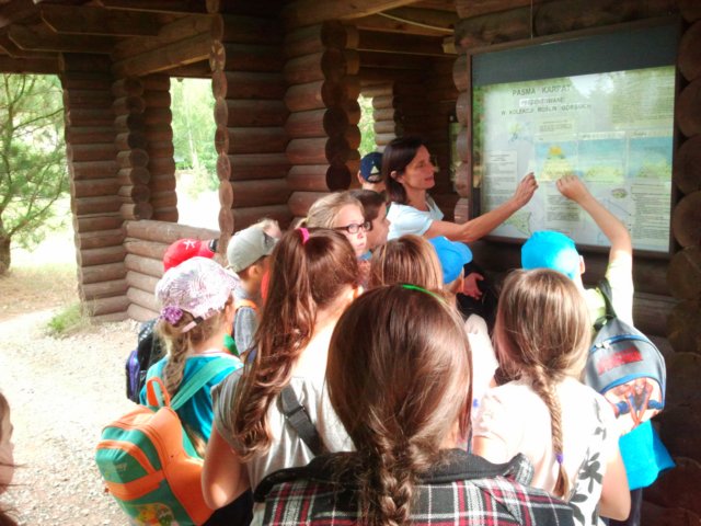 ogrdbotanicznywpowsinie1209201210.jpg