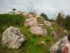 ogrdbotanicznywpowsinie1209201212_small.jpg