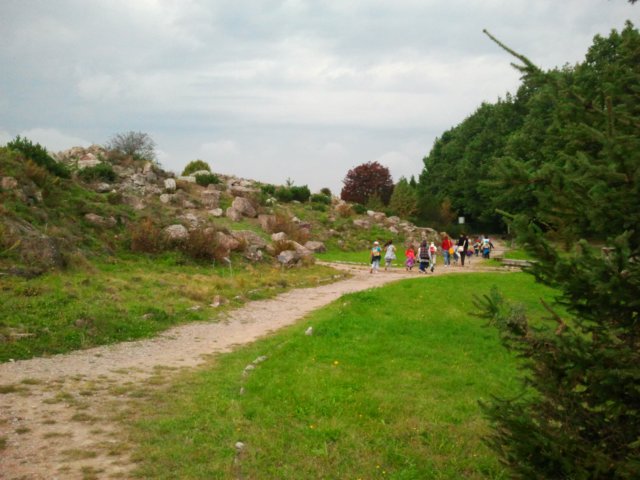 ogrdbotanicznywpowsinie1209201213.jpg