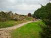 ogrdbotanicznywpowsinie1209201213_small.jpg