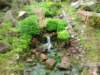 ogrdbotanicznywpowsinie1209201214_small.jpg