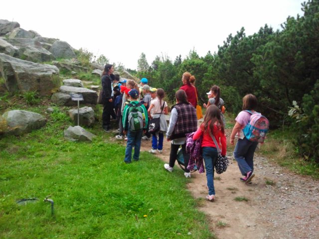 ogrdbotanicznywpowsinie1209201215.jpg