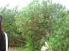 ogrdbotanicznywpowsinie1209201216_small.jpg