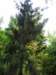 ogrdbotanicznywpowsinie1209201221_small.jpg