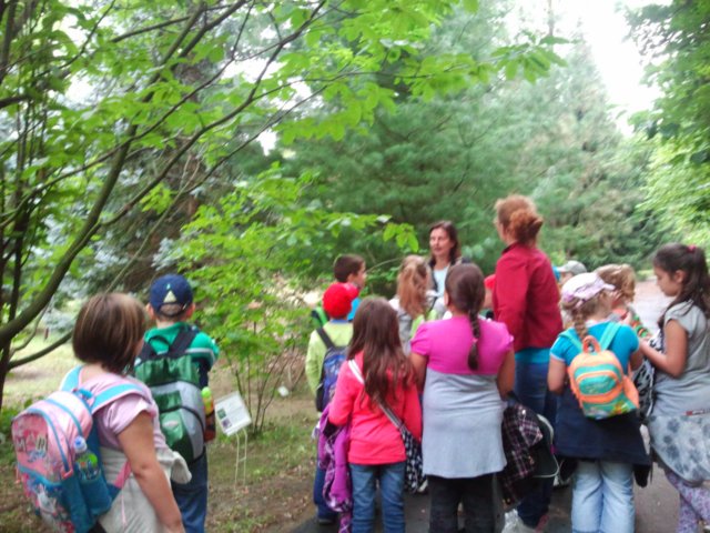 ogrdbotanicznywpowsinie1209201222.jpg
