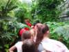 ogrdbotanicznywpowsinie1209201225_small.jpg