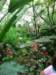 ogrdbotanicznywpowsinie1209201226_small.jpg