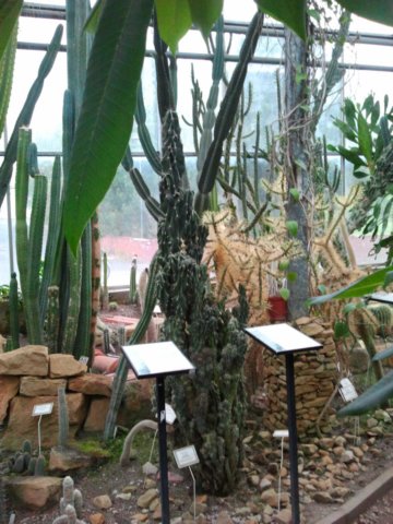 ogrdbotanicznywpowsinie1209201235.jpg