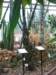 ogrdbotanicznywpowsinie1209201235_small.jpg