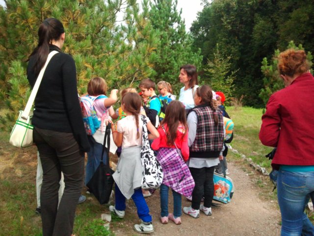ogrdbotanicznywpowsinie120920127.jpg
