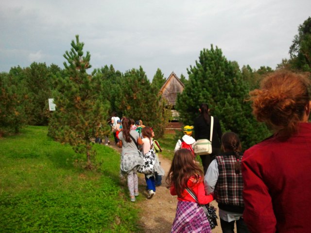 ogrdbotanicznywpowsinie120920129.jpg