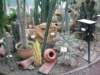 ogrdbotanicznywpowsinie12092012_small.jpg