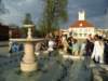 noczandersenemiv201321_small.jpg