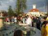 noczandersenemiv201329_small.jpg