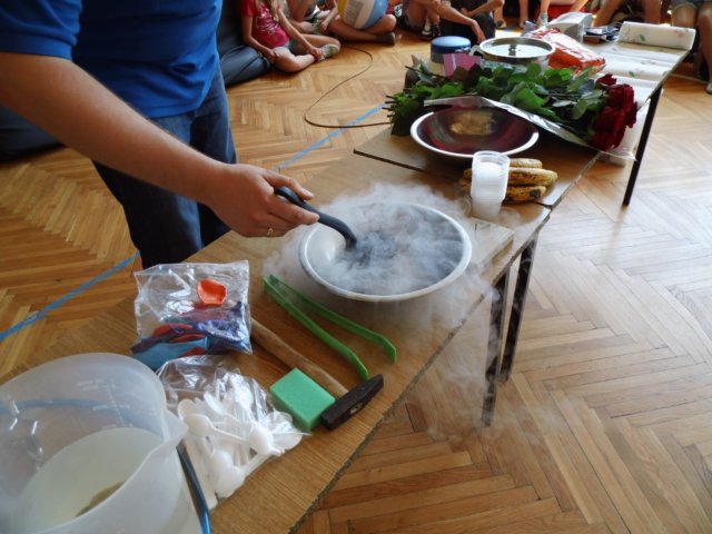niezwykypokazvi20139.jpg