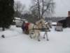 feriedzie119_small.jpg