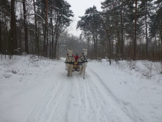 feriedzie122.jpg