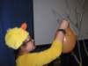 noczandersenemiv201390_small.jpg