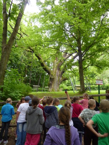 gryswitokrzyskievi2013143.jpg