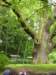 gryswitokrzyskievi2013144_small.jpg