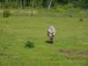 gryswitokrzyskievi201319_small.jpg